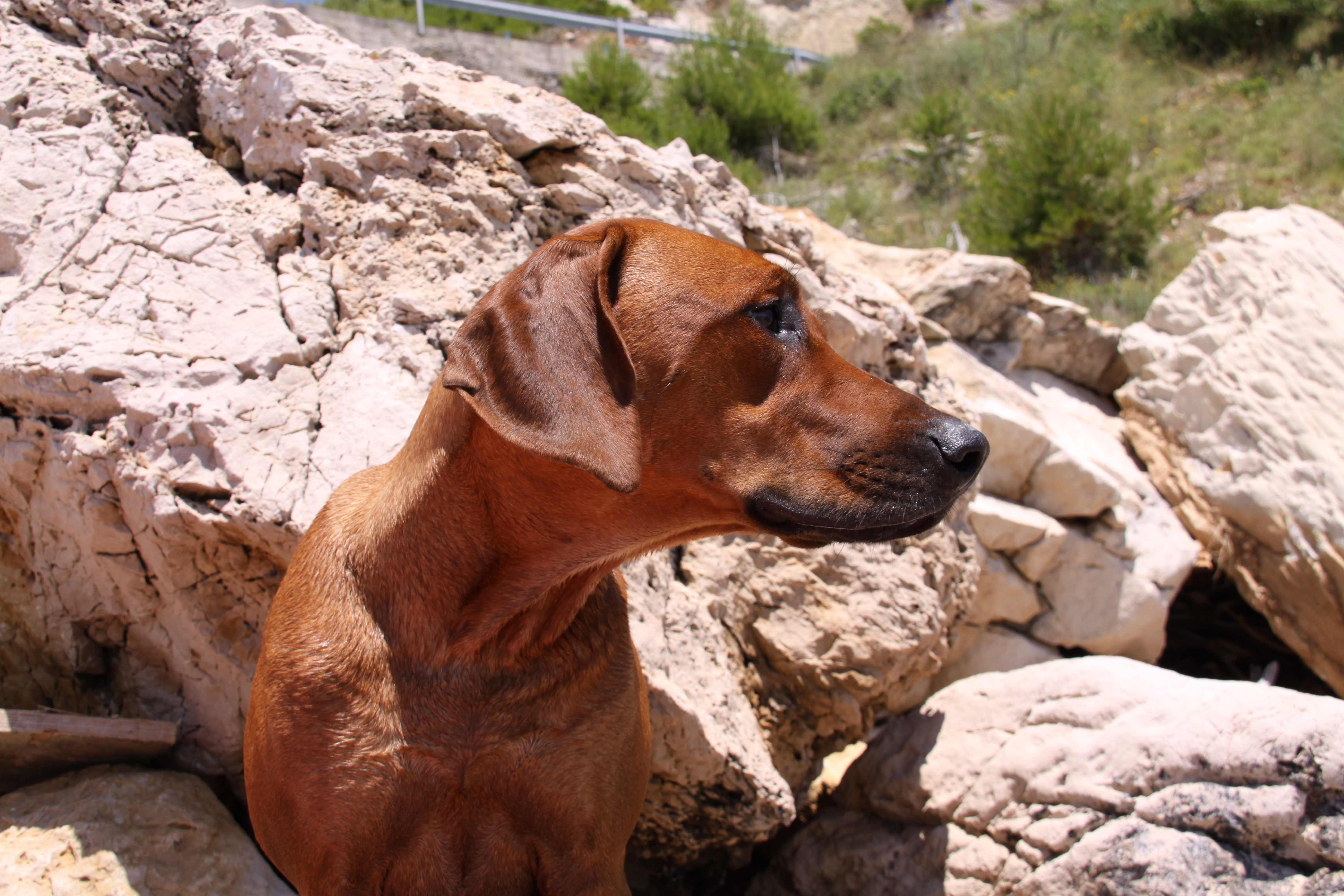 chorvatsko 2009 014.jpg