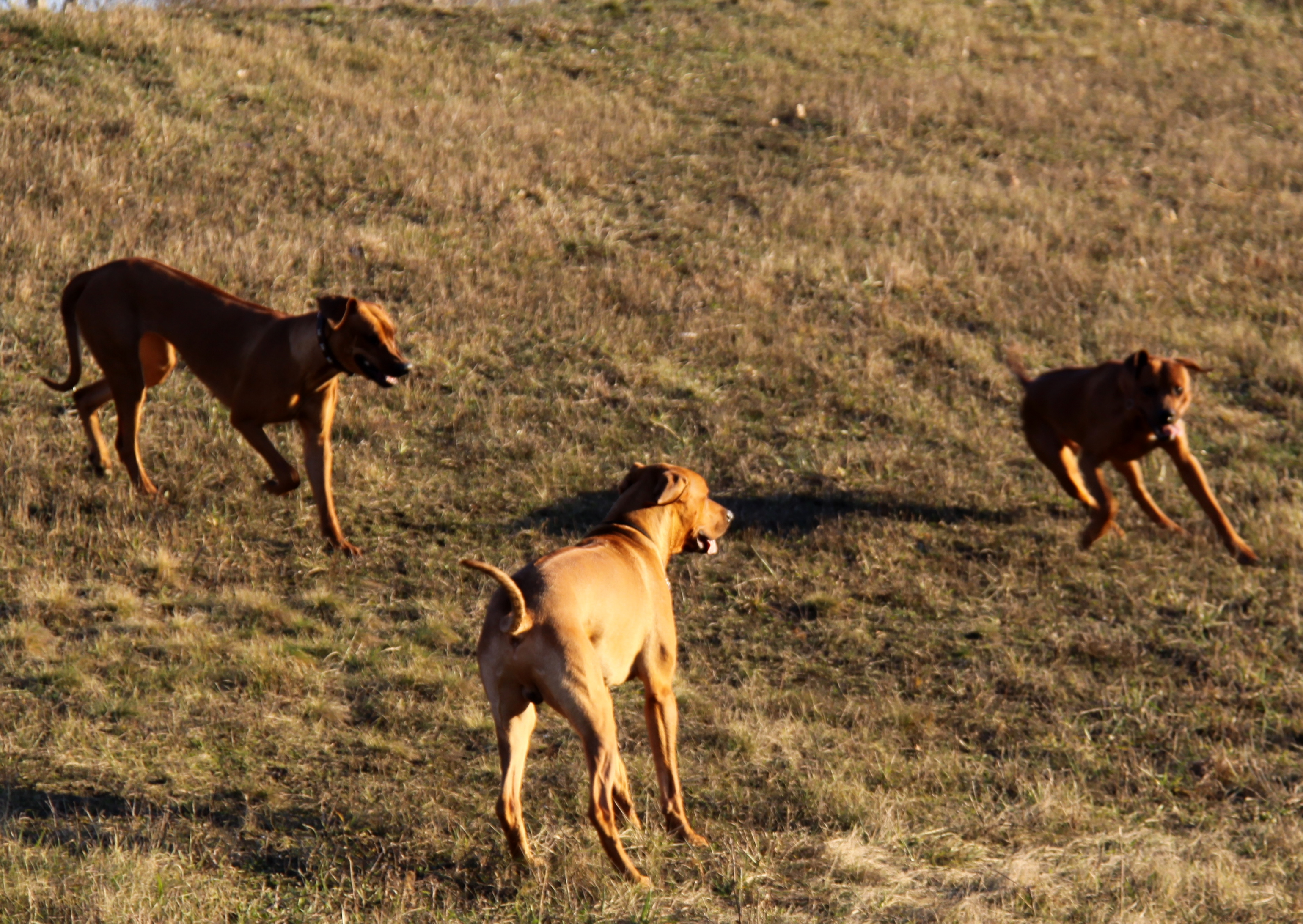 december 2009 342.jpg