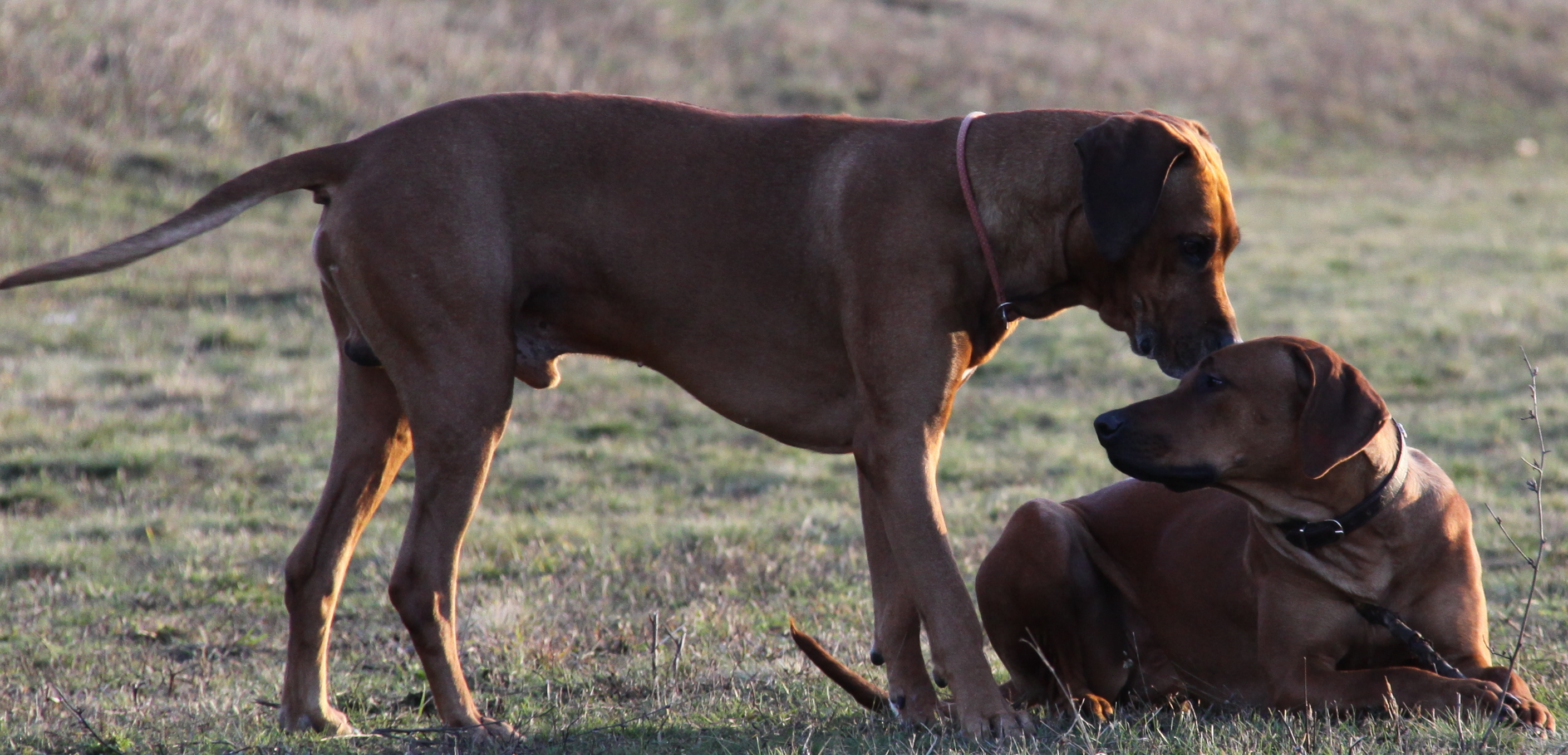december 2009 359.jpg