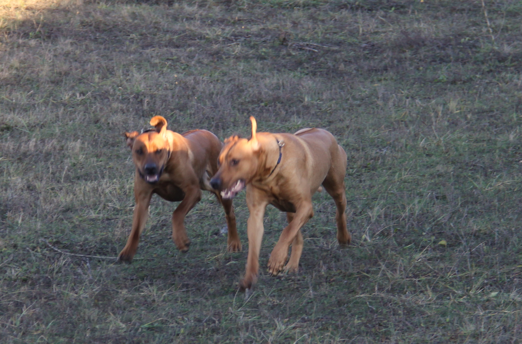 december 2009 314.jpg